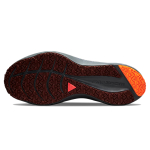 Nike Zoom Winflo 8 shield