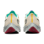 Nike Pegasus 38 Zoom
