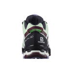 SALOMON XA Pro 3D V8 Gtx