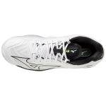 Mizuno