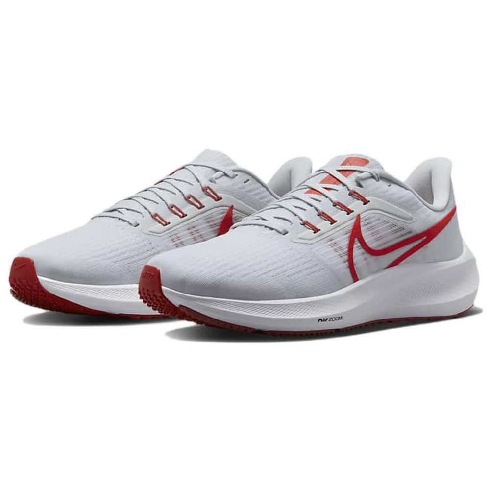 Nike Air Zoom Pegasus 39