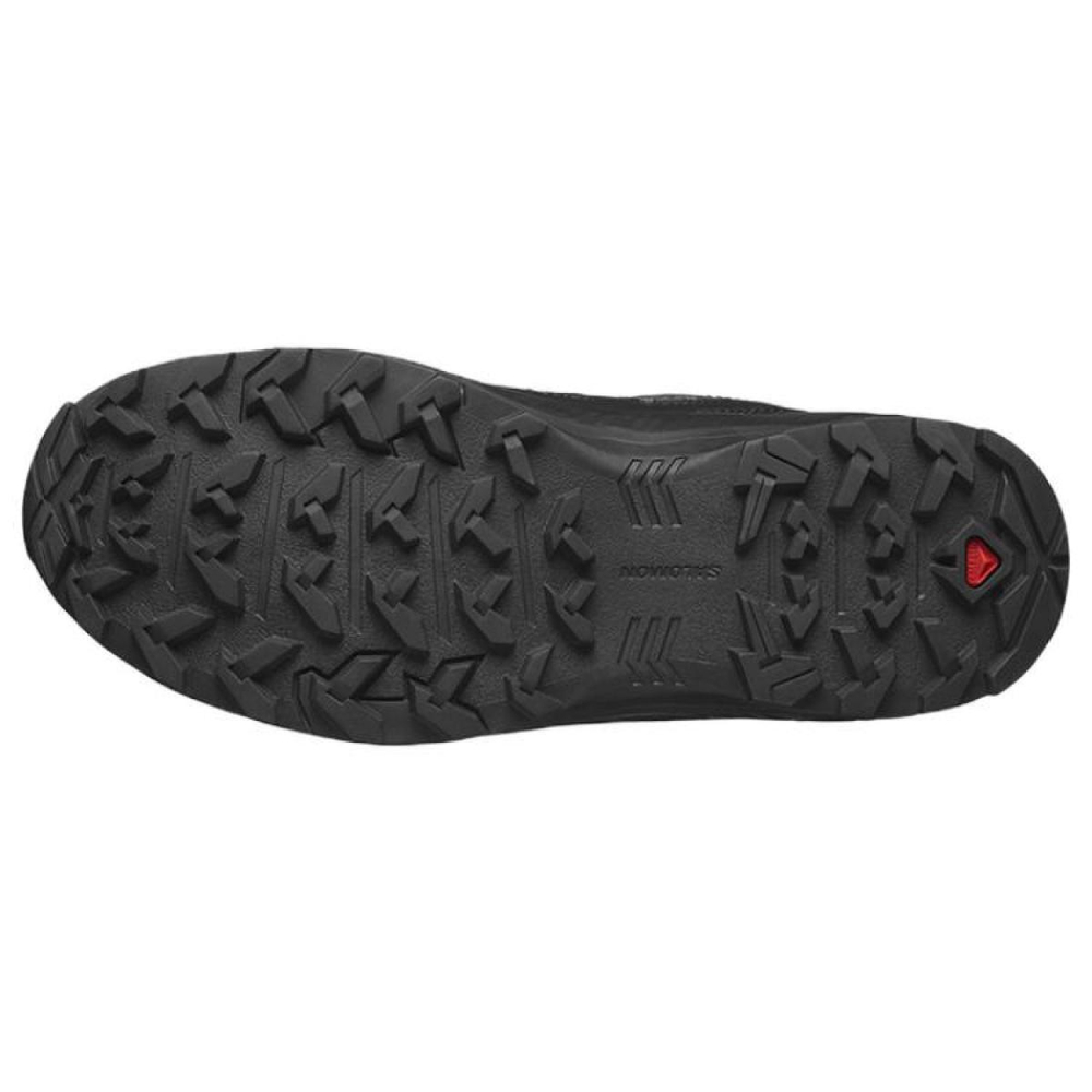SALOMON X Braze GTX W /