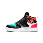 Jordan Air Jordan 1 Sky logo