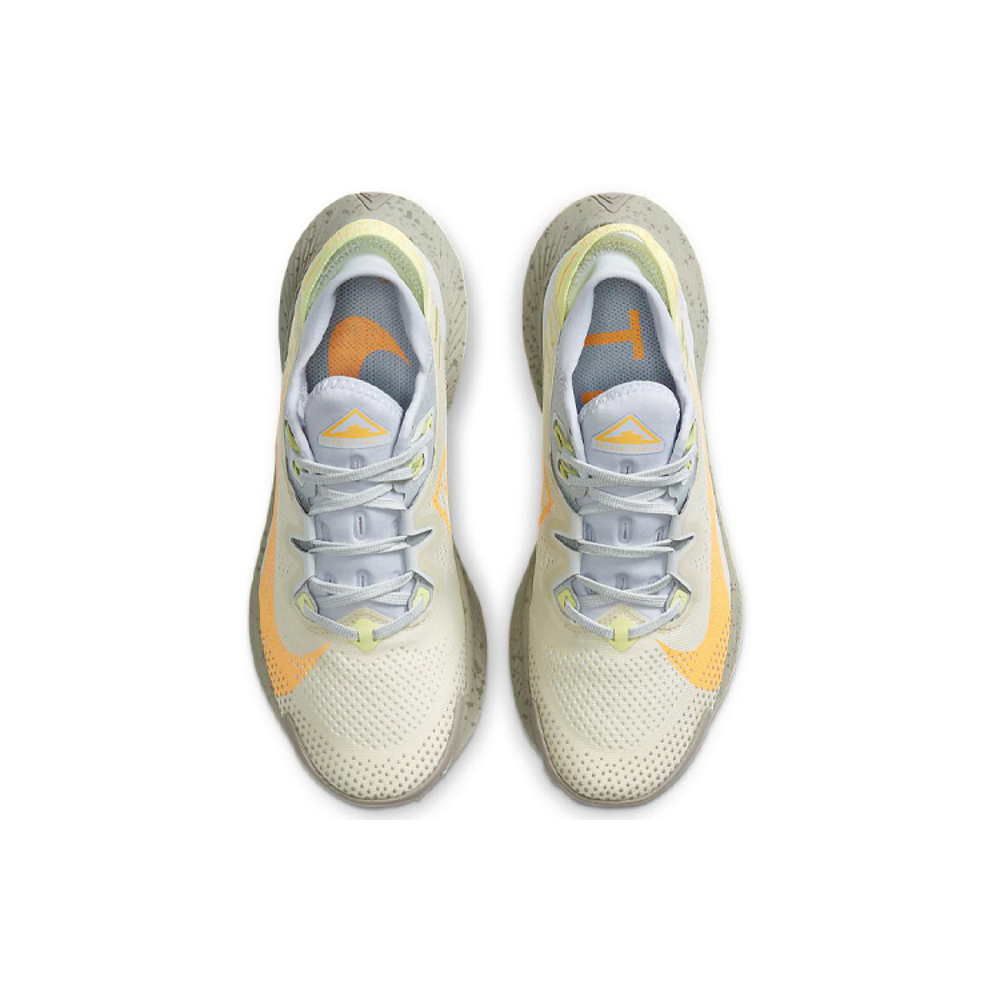 Nike Pegasus Trail 2