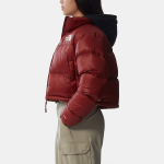 THE NORTH FACE Logo