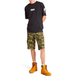 Timberland T