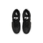 Nike Dunk