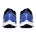 Nike Pegasus 36 36