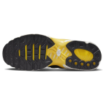 Nike Air Max Terrascape Plus "Michigan"