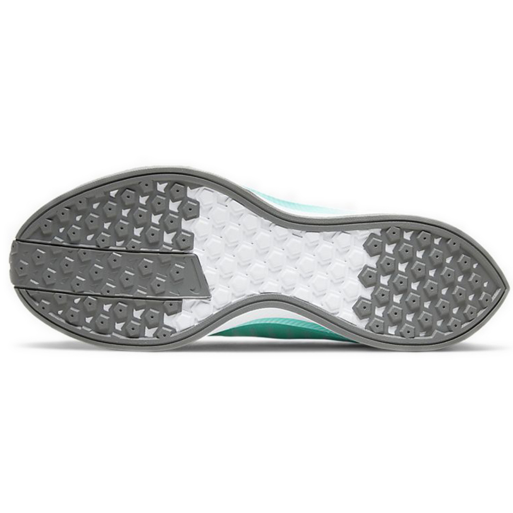 Nike Pegasus turbo 2