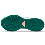 Nike Pegasus Trail 2