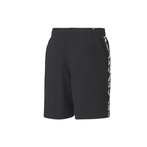 Puma AMPLIFIED Shorts 9" TR