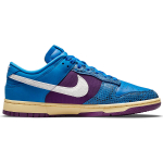 UNDEFEATED x Nike Dunk SP "5 on it"