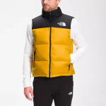 THE NORTH FACE 1996 Retro Nuptse 700