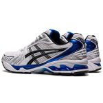 Asics Gel-Kayano 14