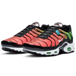 Nike Air Max Plus Worldwide