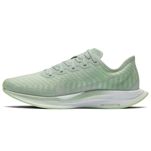 Nike Pegasus turbo 2 ZOOM X RISE