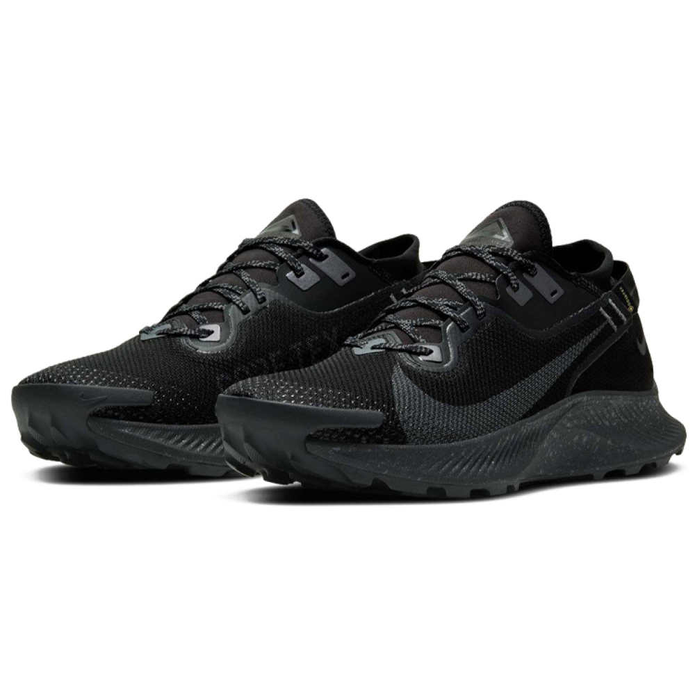 Nike Pegasus Trail 2 GORE-TEX