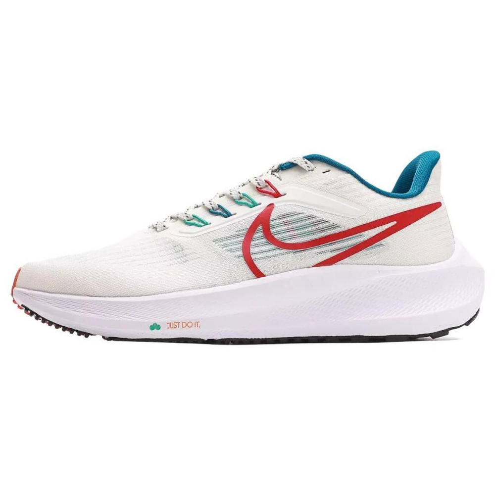 Nike Air Zoom Pegasus 39
