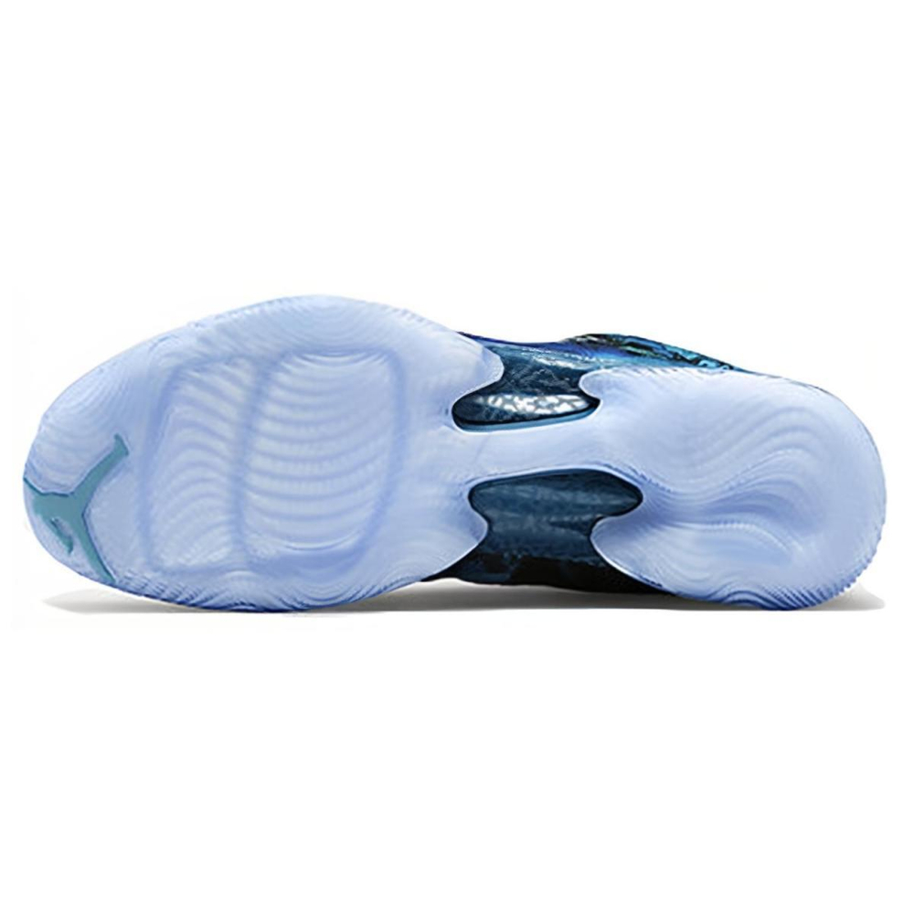 Jordan Air Jordan 29
