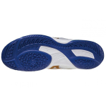 Mizuno Wave Drive 8