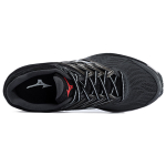 Mizuno Paradox 5