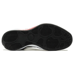 Jordan Air Jordan 2010 Black Varsity Red