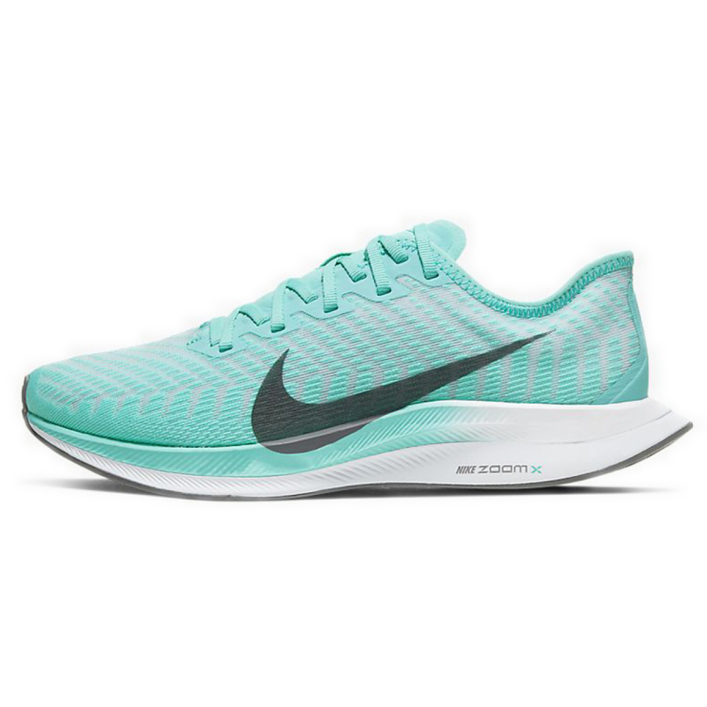 Nike Pegasus turbo 2