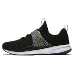 Jordan Trainer 2 Flyknit