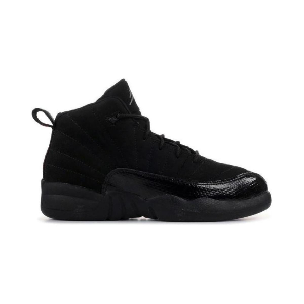 Jordan Air Jordan 12