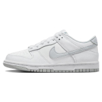 【 】 Nike Dunk GS