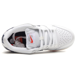 Nike Dunk SB Pro