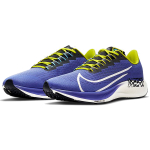 Nike Pegasus 37