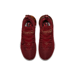 Nike Lebron 16 King