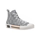 DIOR B23
