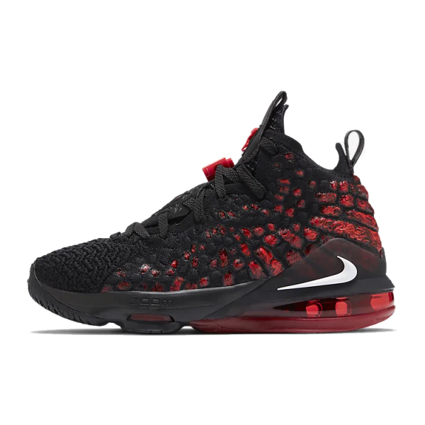Nike Lebron 17