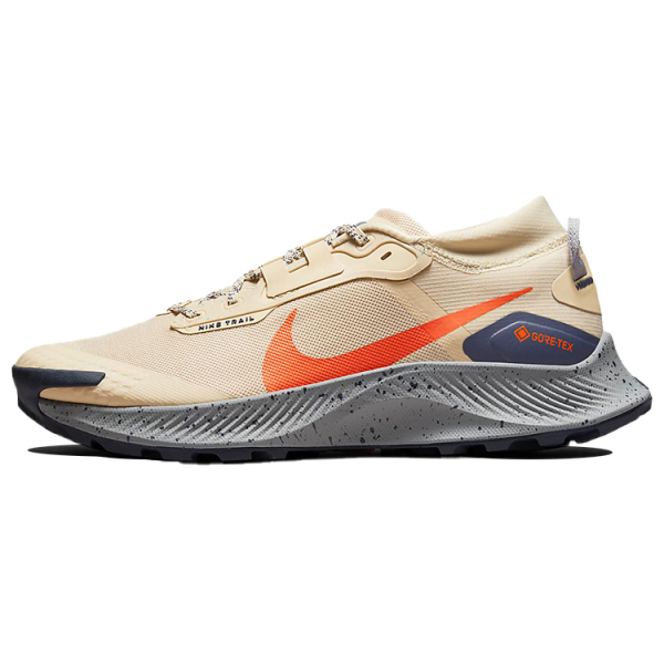 Nike Pegasus Trail 3 GTX