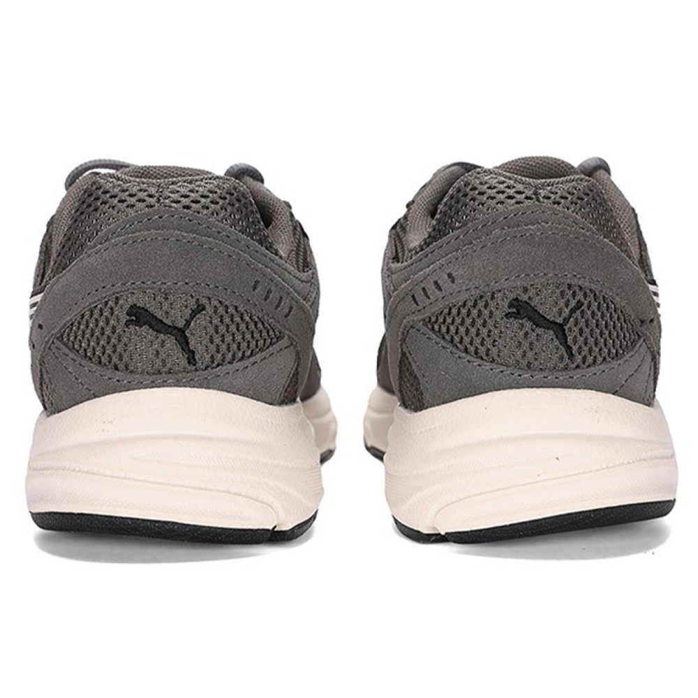 PUMA Axis