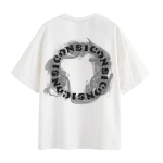 ICONS Lab T