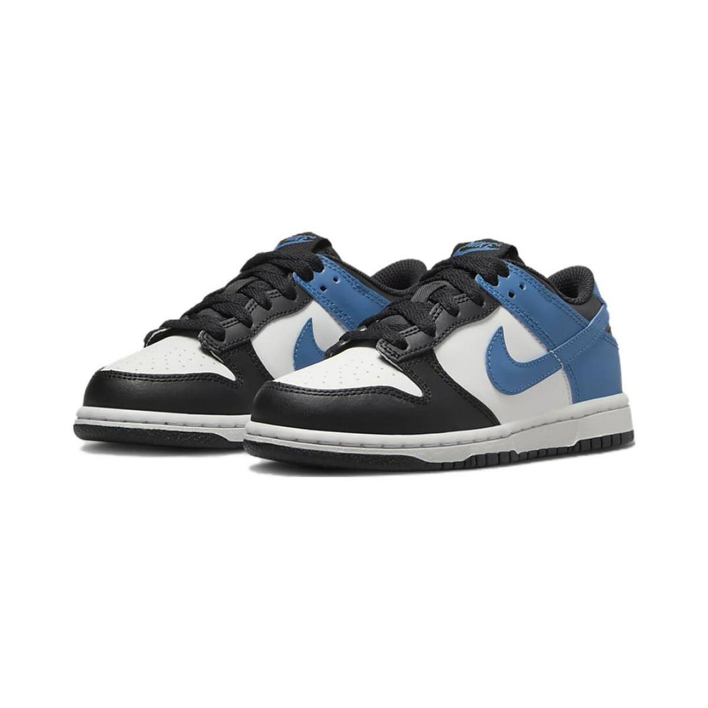 Nike Dunk PS