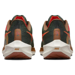 Nike Air Zoom Pegasus 39 "a.i.r. hola lou"