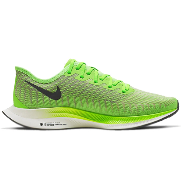 Nike Pegasus turbo 2