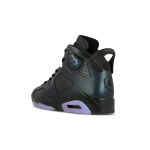 Jordan Air Jordan 6 Retro All Star 2017 Chameleon