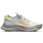 Nike Pegasus Trail 2