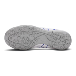 Mizuno Monarcida