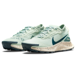 Nike Pegasus Trail 3 GTX