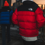 THE NORTH FACE 1992 30 Logo