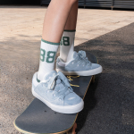 Ollieskate