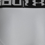 Under Armour HeatGear® Logo