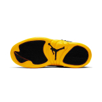 Jordan Air Jordan 12 Retro University Gold